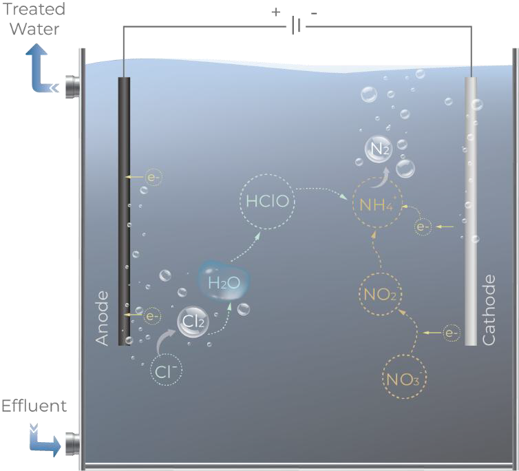 Electrochemical denitrification cell diagram converting nitrate and nitrite into nitrogen gas