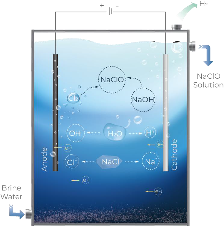 Electrochlorination cell diagram electrolyzing brine into sodium hypochlorite, chlorine and hydrogen