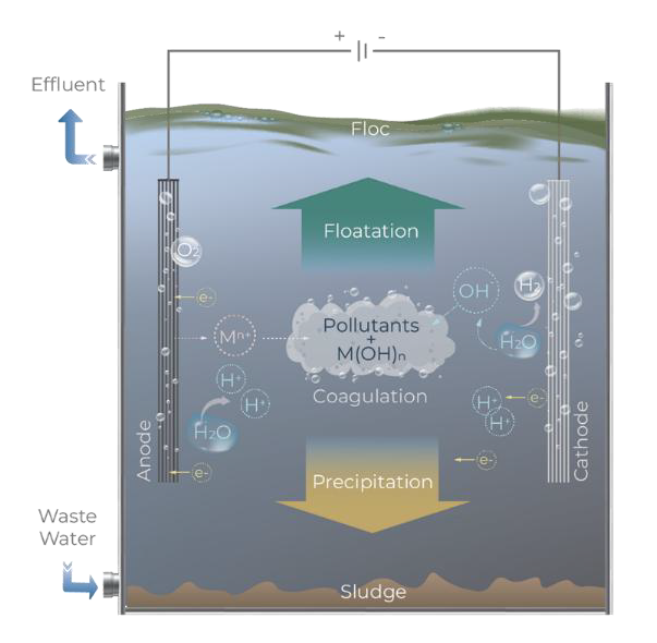 Electrocoagulation-flotation cell diagram showing coagulation, floatation and precipitation of pollutants