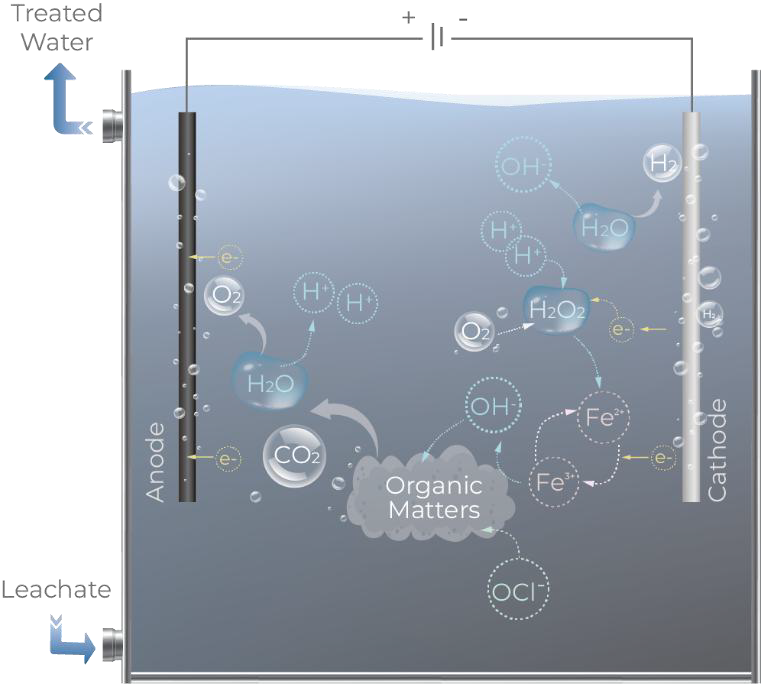 Electro-Fenton leachate treatment cell diagram with ferrous ion cycle and hydroxyl radical generation